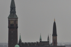 Copenhagen view from The Round Tower 4