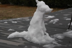 Snow Dog1