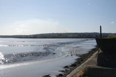 Shannon Estuary 2