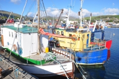 Boats in Dingle 9