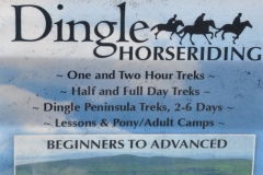 Dingle sign