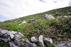 The Burren Landscape 1