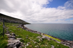 The Burren Shore