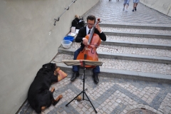 Musican on the steps to the Prague Castle