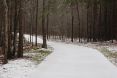 Snow Walk 2