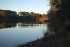 The Lake 1