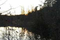The Lake 10