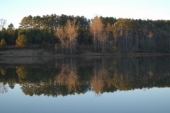 The Lake 5